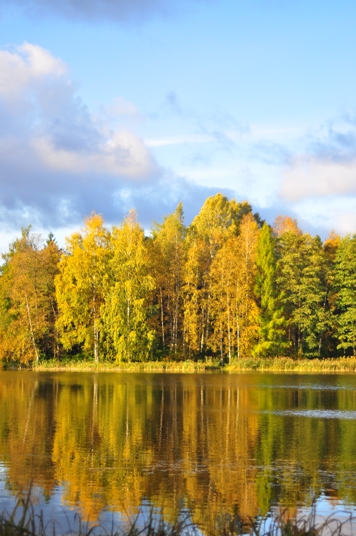 Осенние мотивы