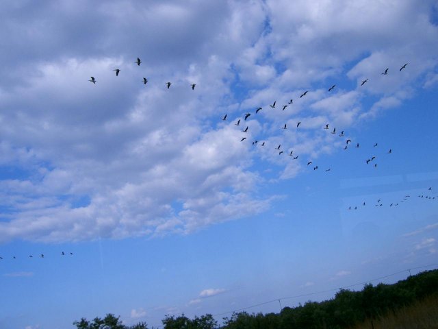 Гуркуя, в небе пролетели