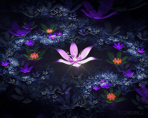 I seduce girl, all love - is an art. Robert Burns