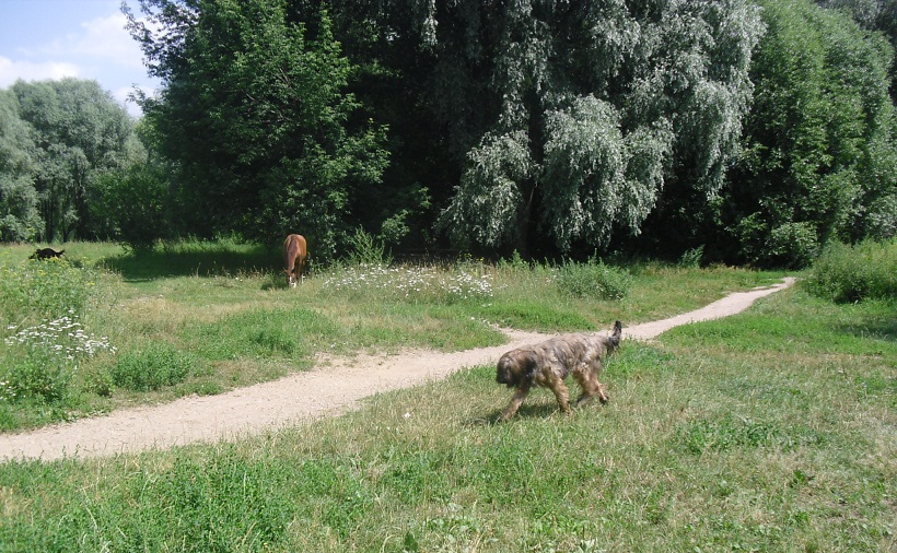 Я обещала в сентябре вернуться