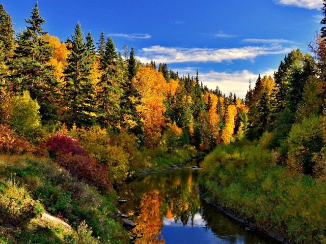 Во всей красе...