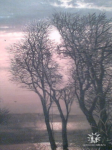 Золотая пора