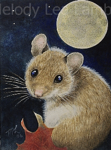 Мышка и крылья