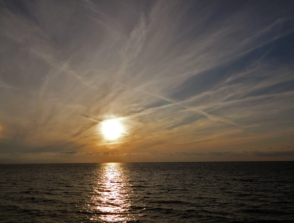 Мой ветер - леопард