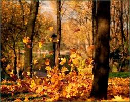 Повремени же, листопад