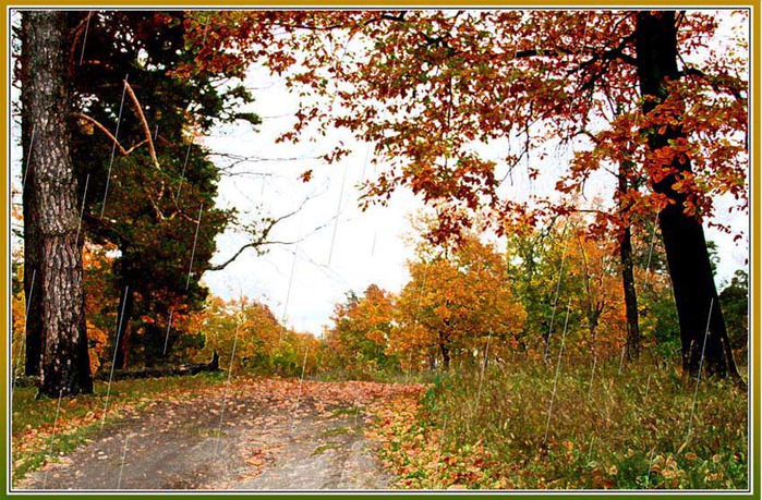 Вот и осень...