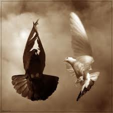 Ангел и Бес