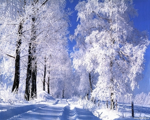 Картинка Зима Природа Фото Картинка Зима Природа Фото