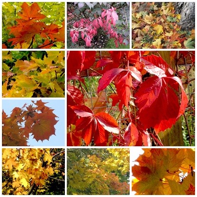 Осенние волны