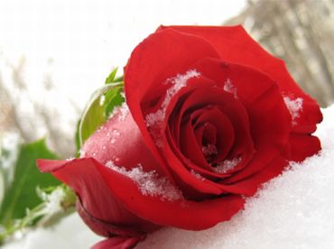 Прекрасен был бы наш союз -Авторская песня-