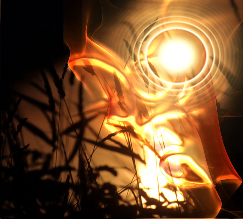 Но никогда нам вдоволь не напиться