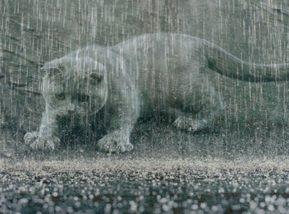 Все пишут про осень...