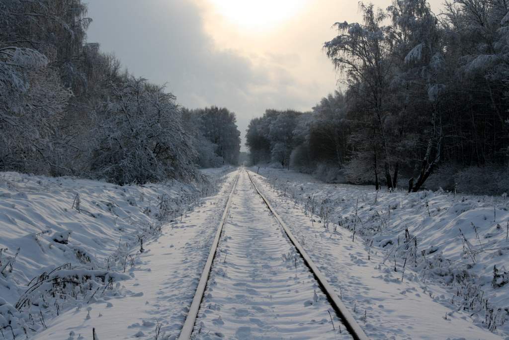 Начало зимнего пути