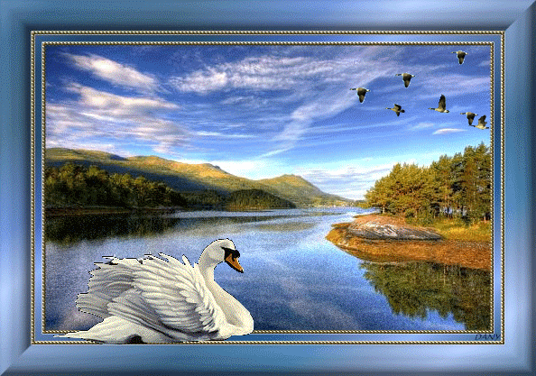 Высоко курлычет стая