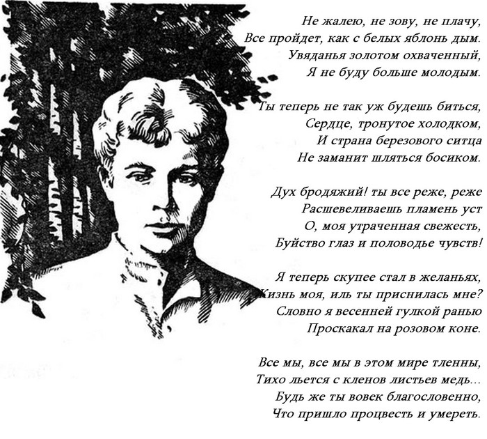 В стране есенинских стихов текст. Стихотворение писателя Есенина. Не жалею не зову не плачу Есенин. Стихи Есенина.