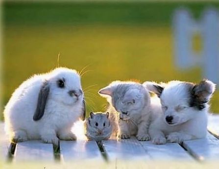 Отгадки для Арсения