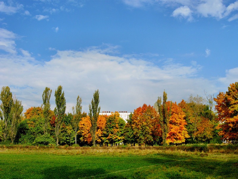 Бабушкино лето