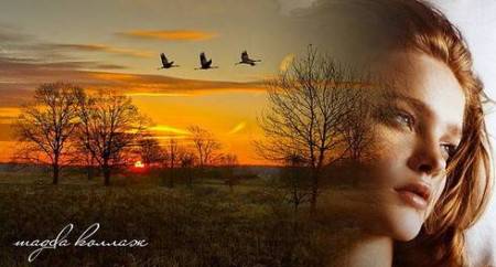 14 С-30 Мерзкая погода