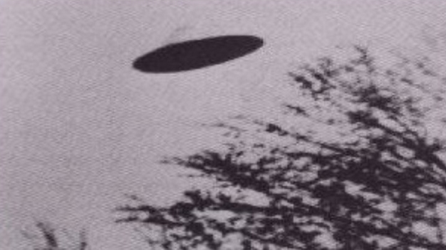 Аномальная муза