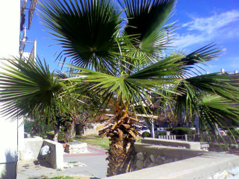 Утро субботы