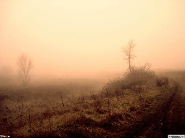 Звук тишины