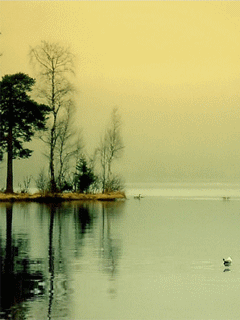 на карте времени...