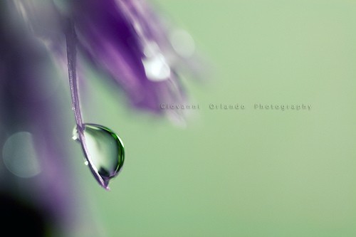 Смех со слезинкой...