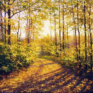 Тихой любуюсь красою