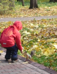 Белочки разбегались