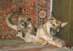 Неразделенная любовь