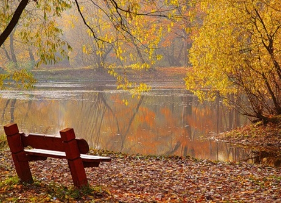 В страну моей любви вступила осень