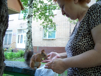 Не стреляйте, люди, в белок!