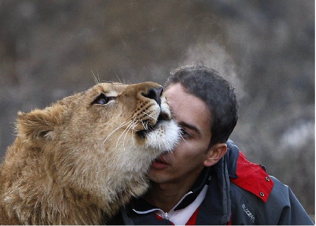 Я жду, когда...