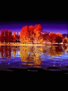 золотые ноты