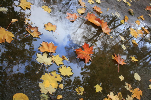 взглянув в окно...