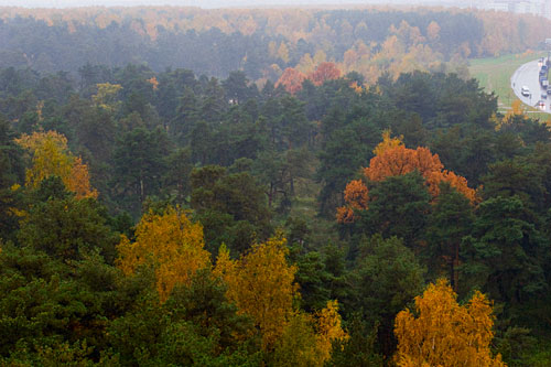Немного боли, чтобы стать здоровой