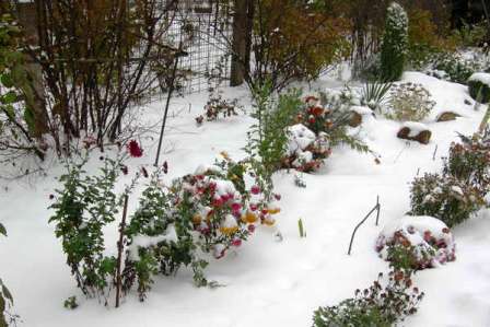Всему приходит свой черёд