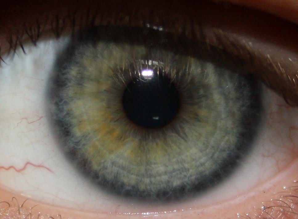 Я разучился радоваться Жизни