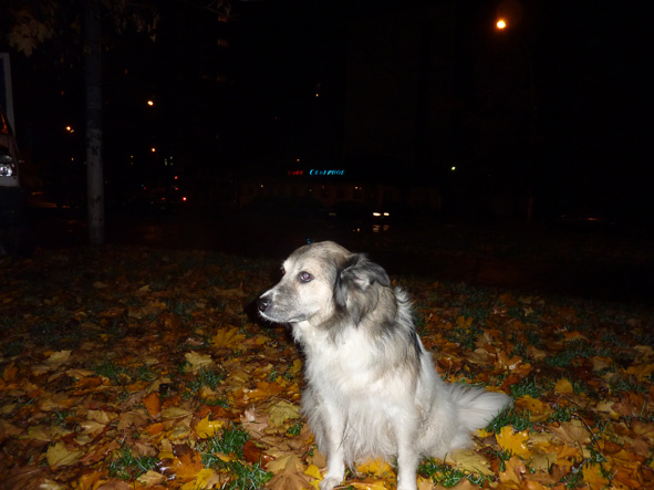 Не пришёл!!! фото автора