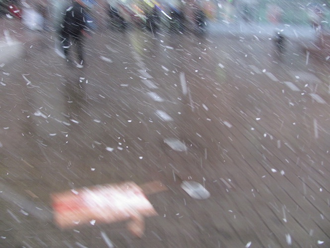 Снежинок лёгкий шорох