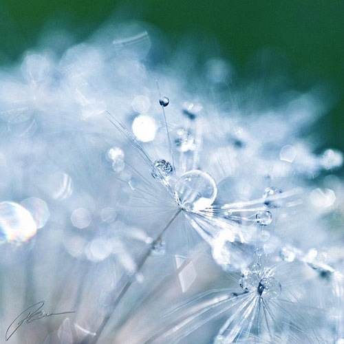 Пограничность... 2