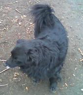 О Малыше дополнение