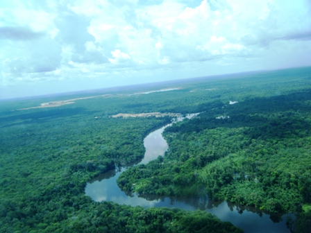 я так скучаю, моя Гайана