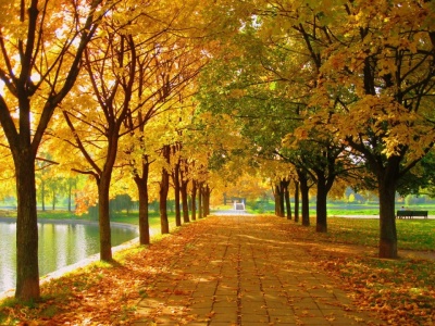 Легла осени печать...