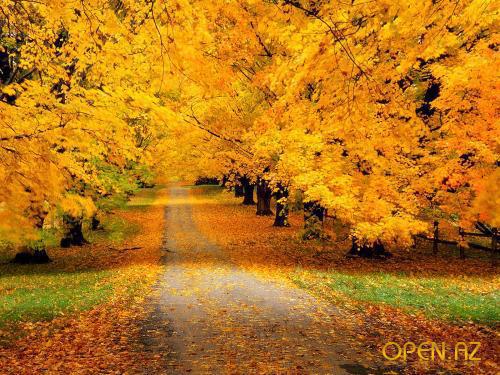 Осени великое убранство...