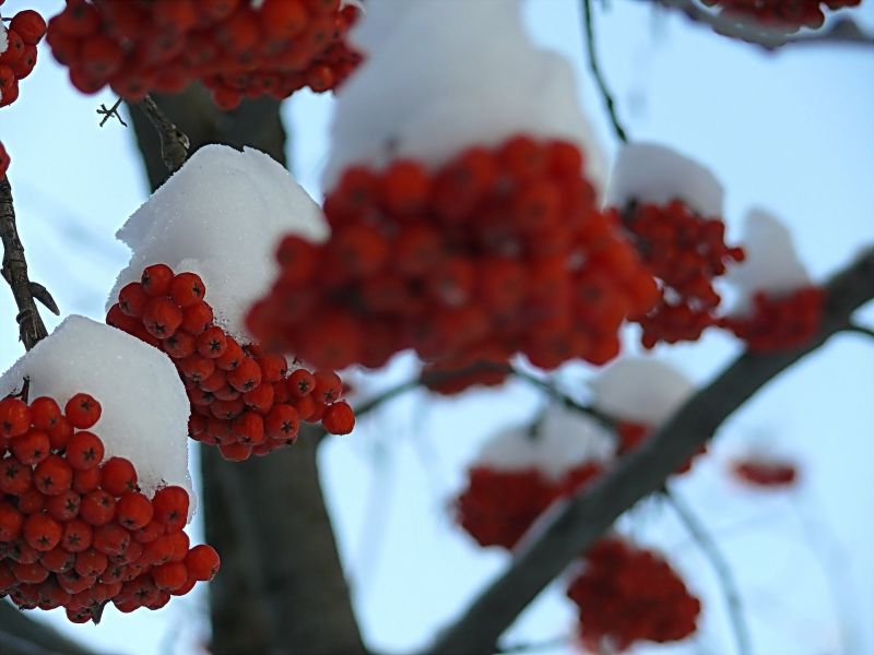 Уже едва горит огонь любви