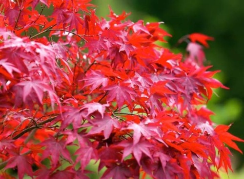 Давайте будем слушать вместе тишину...