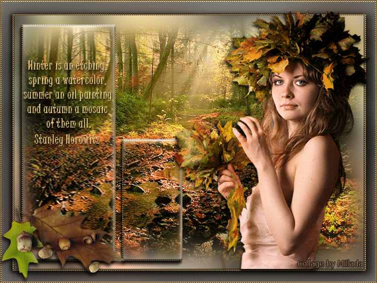 Заплету я в косы шум дождя