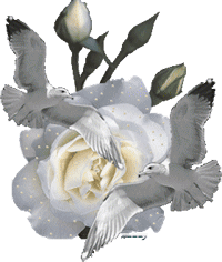 Пиши, поэт, пиши