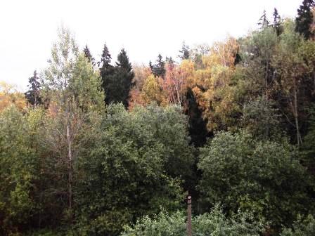 Парк осенний...